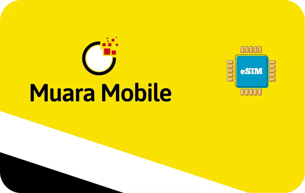 Brunei travel eSIM card